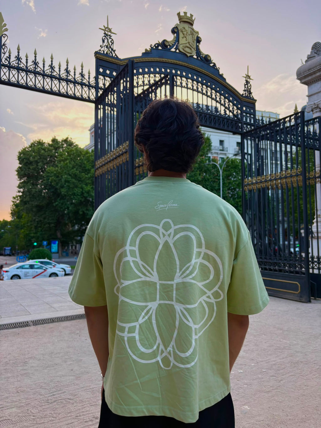 Camiseta pistacchio