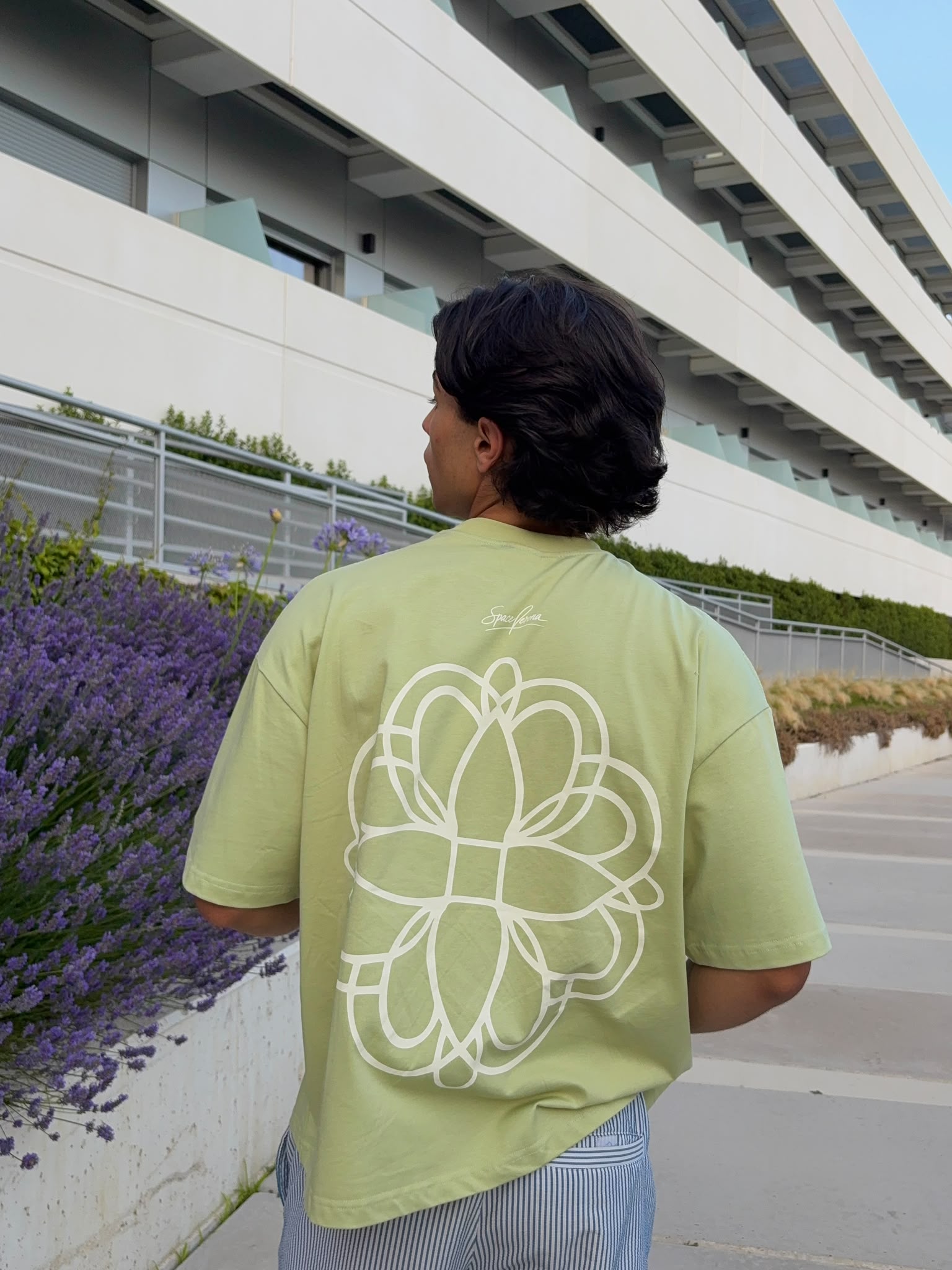Camiseta pistacchio